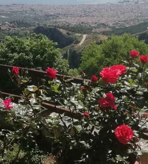 إستوديو قياسى, Archontiko Stafylopati