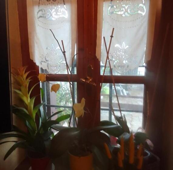 منزل غرفتين نوم, Archontiko Stafylopati