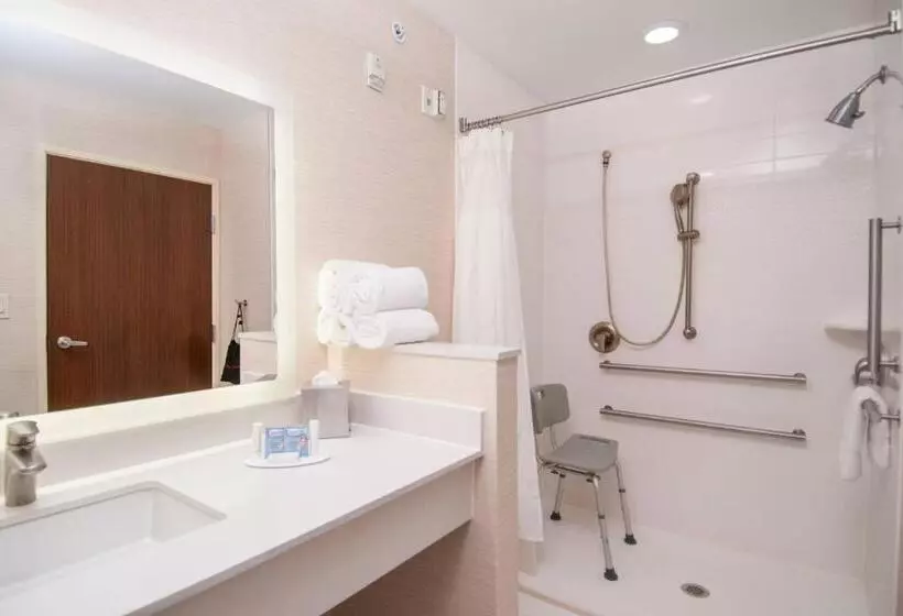 キングサイズベッドのスタンダードルーム, Fairfield Inn & Suites By Marriott Dallas Plano North