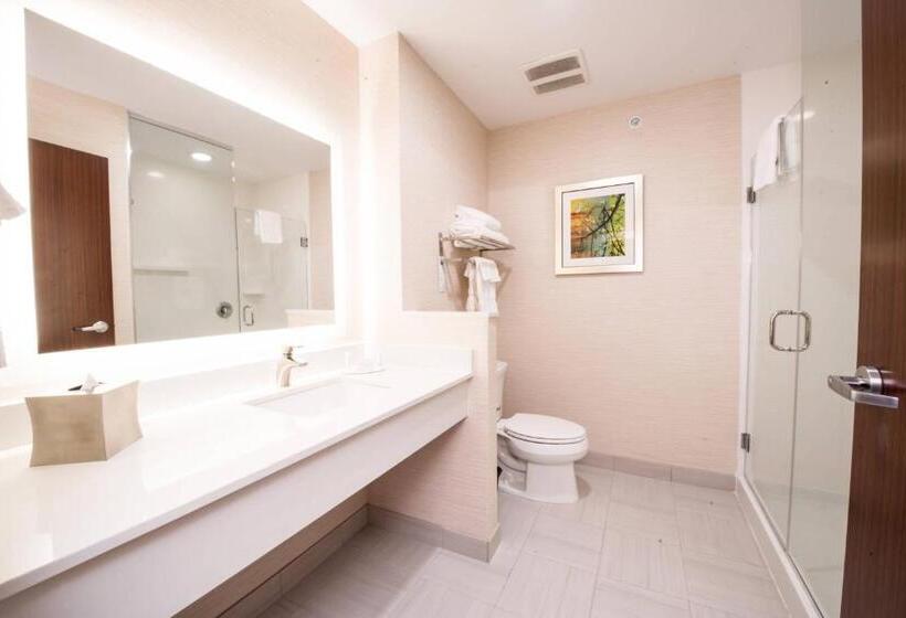 غرفة قياسية سرير كينج, Fairfield Inn & Suites By Marriott Dallas Plano North