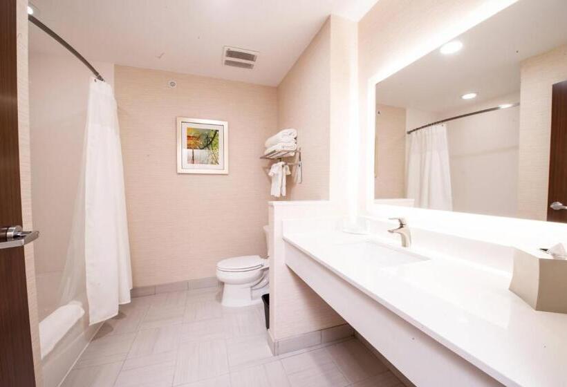 غرفة قياسية, Fairfield Inn & Suites By Marriott Dallas Plano North