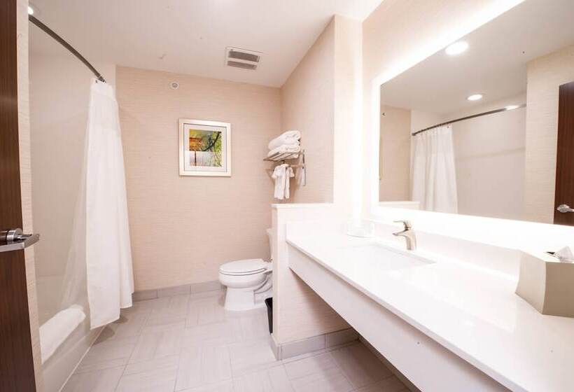 جناح, Fairfield Inn & Suites By Marriott Dallas Plano North