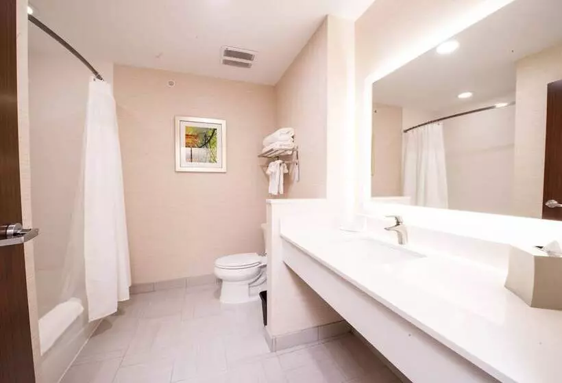 スイート, Fairfield Inn & Suites By Marriott Dallas Plano North