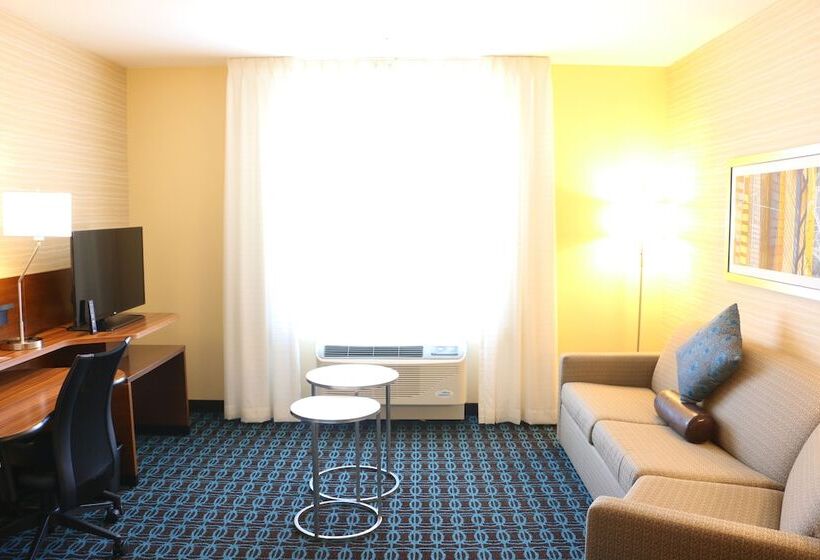 Люкс, Fairfield Inn & Suites By Marriott Dallas Plano North
