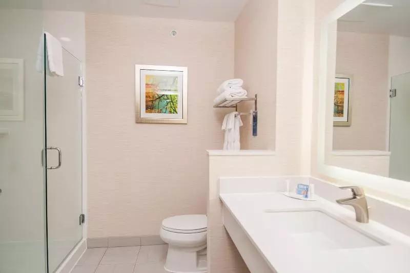 キングサイズベッドのスタンダードルーム, Fairfield Inn & Suites By Marriott Dallas Plano North