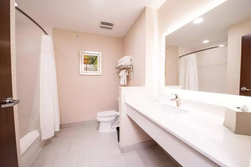 キングサイズベッドのスタンダードルーム, Fairfield Inn & Suites By Marriott Dallas Plano North