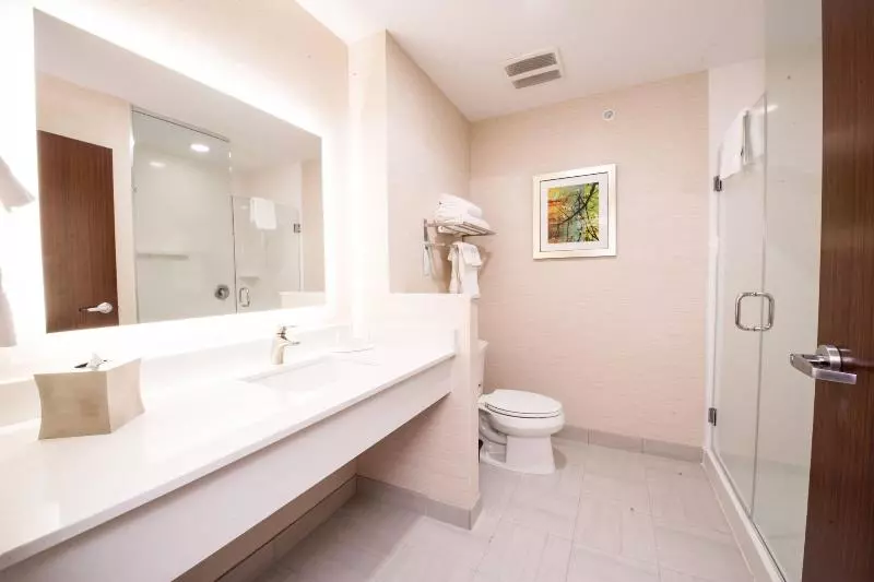 キングサイズベッドのスタンダードルーム, Fairfield Inn & Suites By Marriott Dallas Plano North