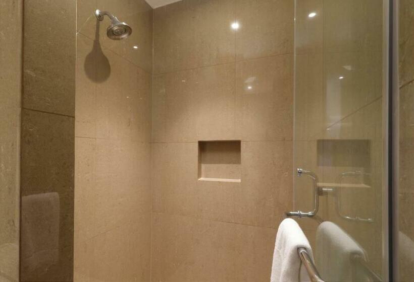 스탠다드 룸 킹사이즈 침대, Holiday Inn Express & Suites Monterrey Valle, An Ihg