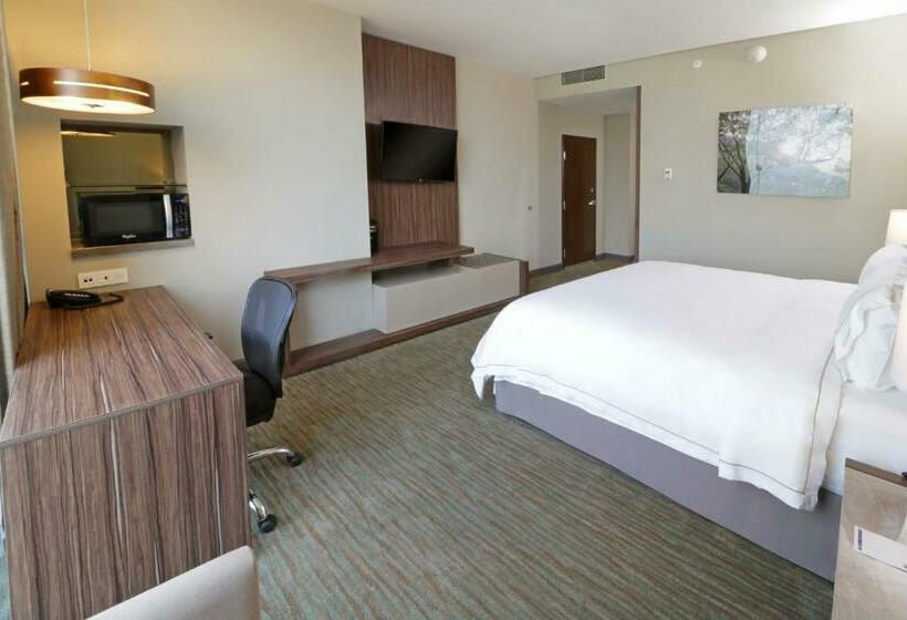 스탠다드 룸 킹사이즈 침대, Holiday Inn Express & Suites Monterrey Valle, An Ihg