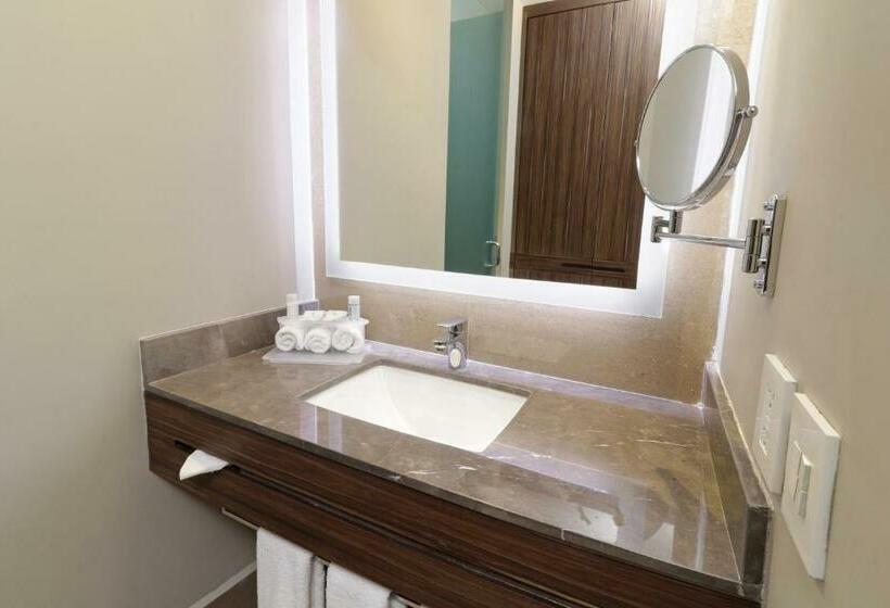 스탠다드 룸, Holiday Inn Express & Suites Monterrey Valle, An Ihg