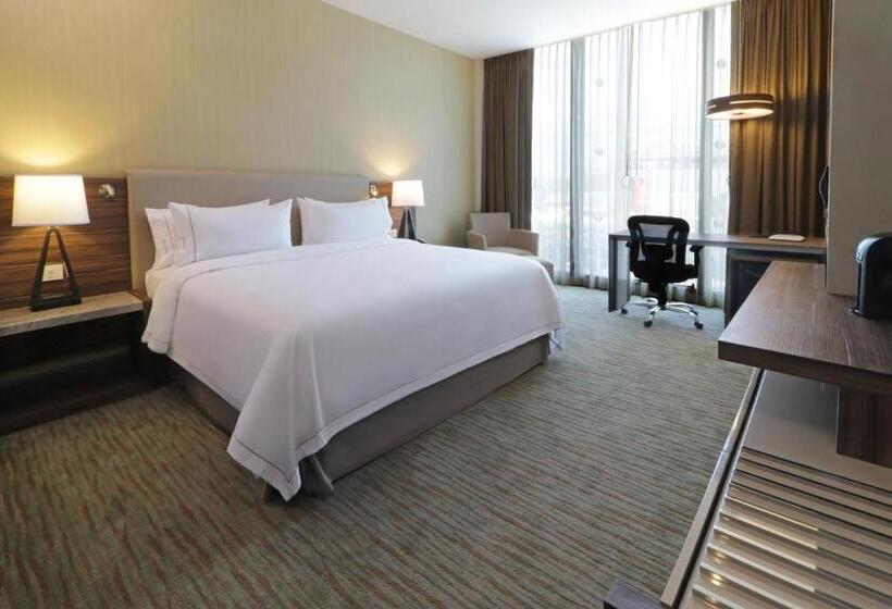 스탠다드 룸 킹사이즈 침대, Holiday Inn Express & Suites Monterrey Valle, An Ihg