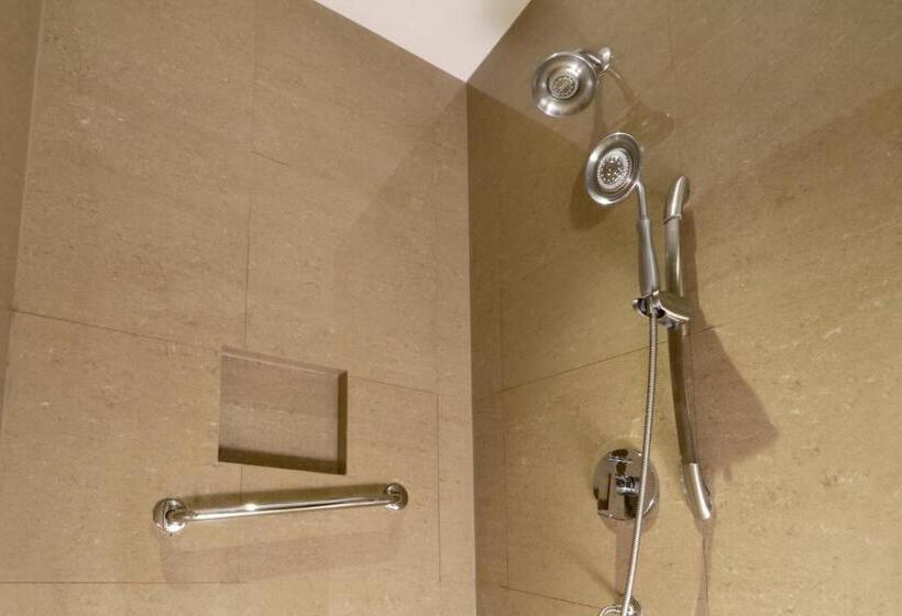 장애인을 위한 스탠다드 룸, Holiday Inn Express & Suites Monterrey Valle, An Ihg