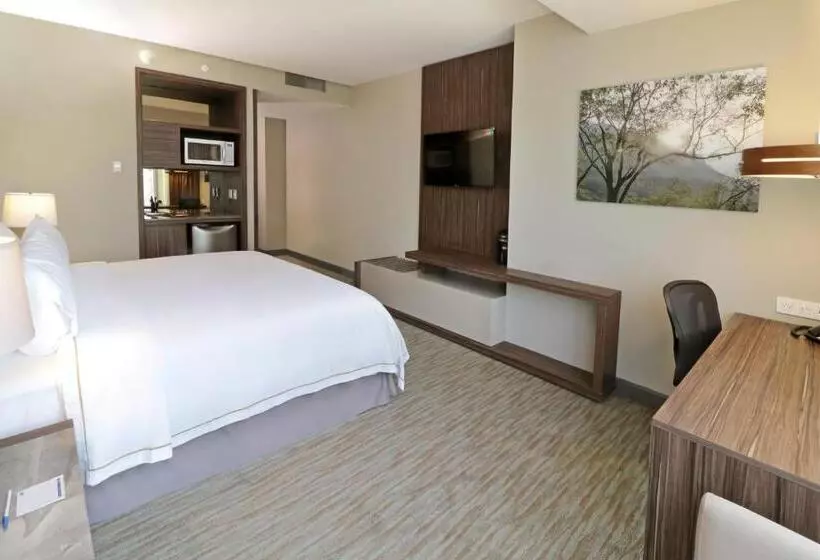 スイート, Holiday Inn Express & Suites Monterrey Valle, An Ihg