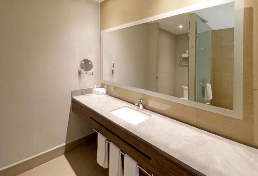 스위트 킹사이즈 침대, Holiday Inn Express & Suites Monterrey Valle, An Ihg