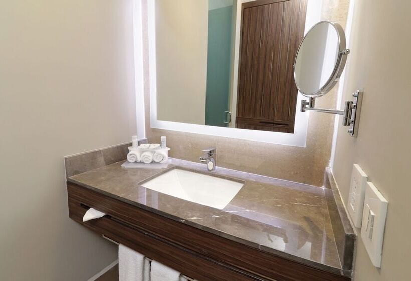 스탠다드 룸, Holiday Inn Express & Suites Monterrey Valle, An Ihg