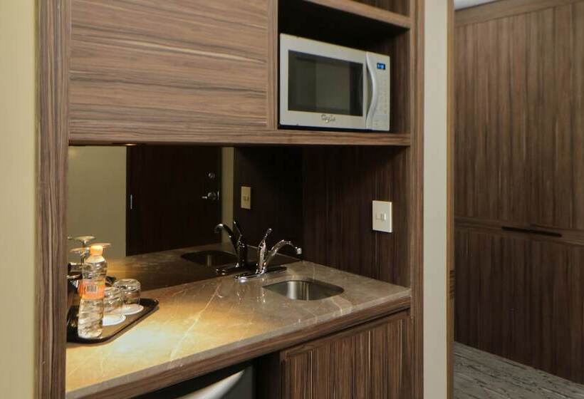 스위트, Holiday Inn Express & Suites Monterrey Valle, An Ihg