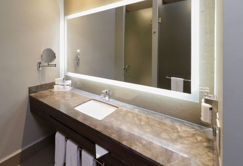 اتاق استاندارد, Holiday Inn Express & Suites Monterrey Valle, An Ihg