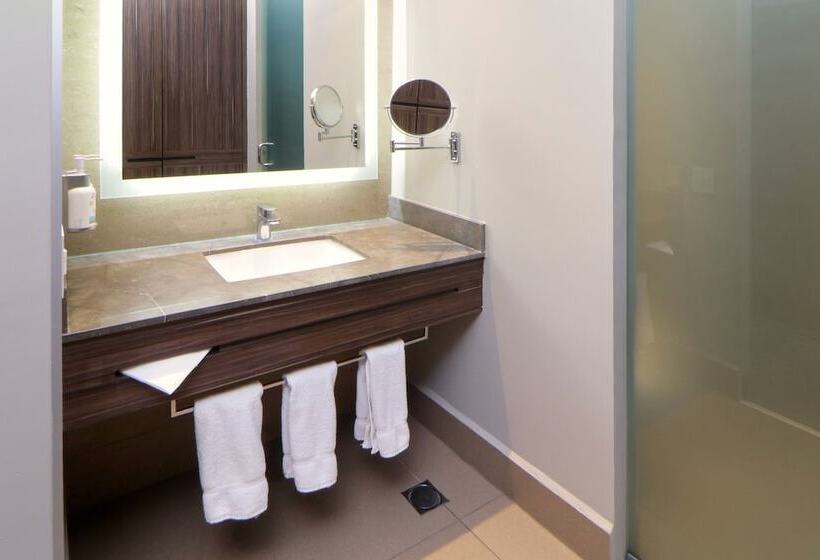 스탠다드 룸, Holiday Inn Express & Suites Monterrey Valle, An Ihg