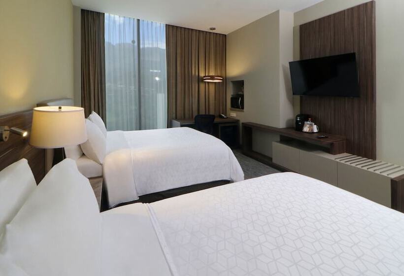 اتاق استاندارد, Holiday Inn Express & Suites Monterrey Valle, An Ihg