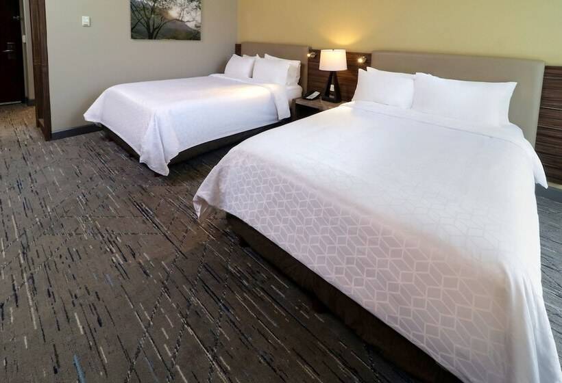 스탠다드 룸, Holiday Inn Express & Suites Monterrey Valle, An Ihg