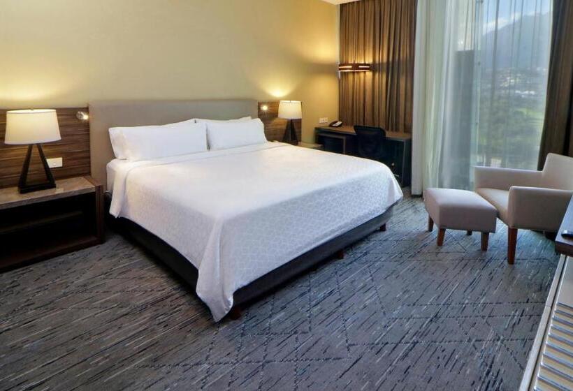 스탠다드 룸 킹사이즈 침대, Holiday Inn Express & Suites Monterrey Valle, An Ihg