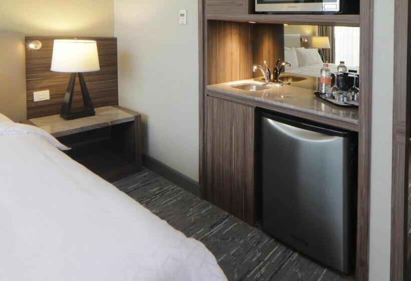 스위트, Holiday Inn Express & Suites Monterrey Valle, An Ihg