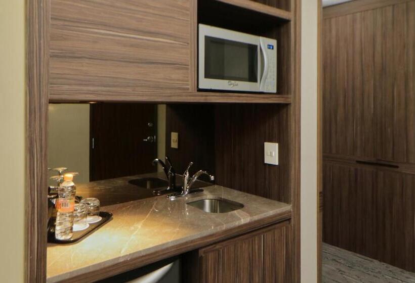 스위트, Holiday Inn Express & Suites Monterrey Valle, An Ihg