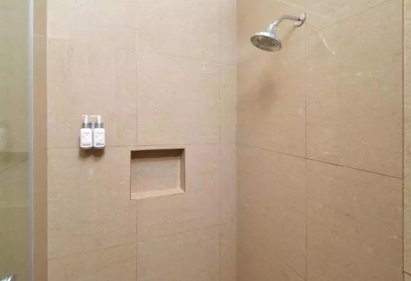 景色の見えるスイートルーム, Holiday Inn Express & Suites Monterrey Valle, An Ihg