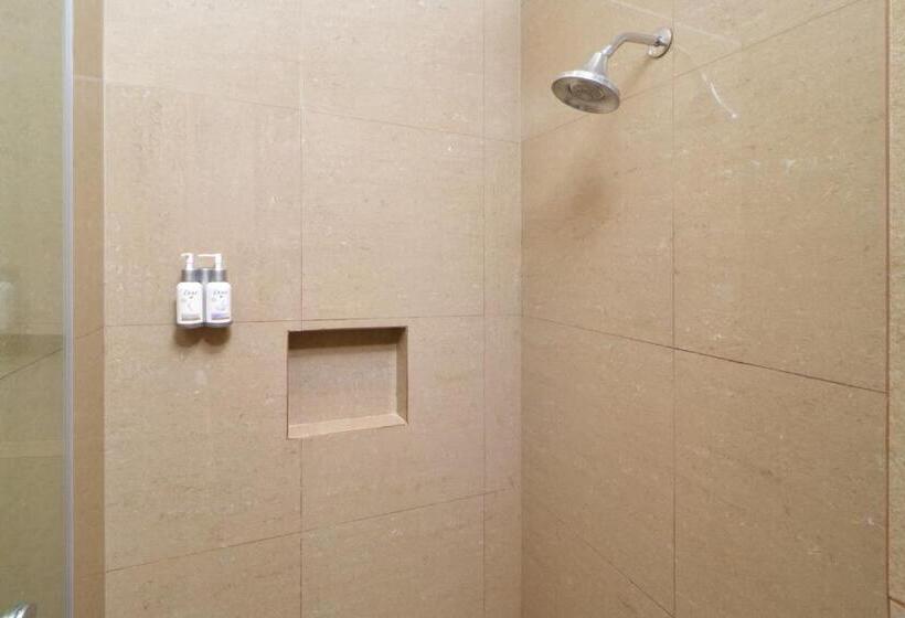 اتاق استاندارد با تخت بزرگ, Holiday Inn Express & Suites Monterrey Valle, An Ihg