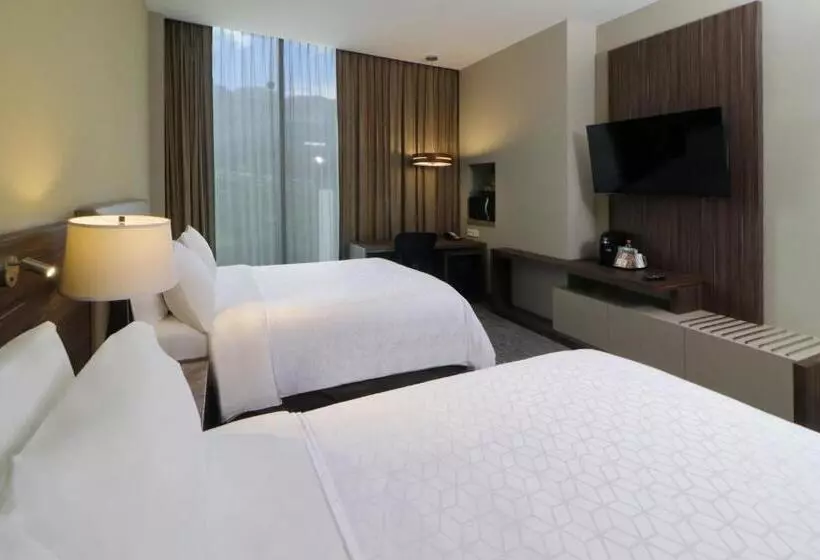 マウンテンビュースタンダードルーム, Holiday Inn Express & Suites Monterrey Valle, An Ihg
