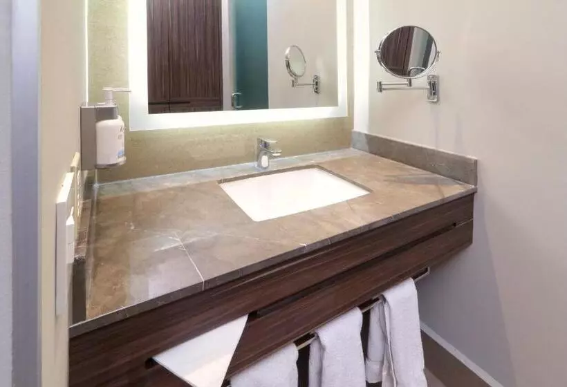 マウンテンビュースタンダードルーム, Holiday Inn Express & Suites Monterrey Valle, An Ihg