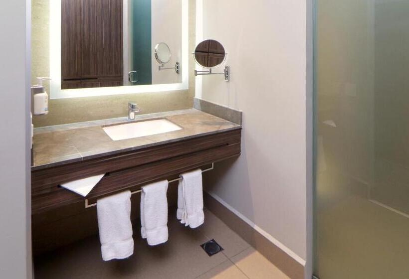 스탠다드 룸 산 전망, Holiday Inn Express & Suites Monterrey Valle, An Ihg