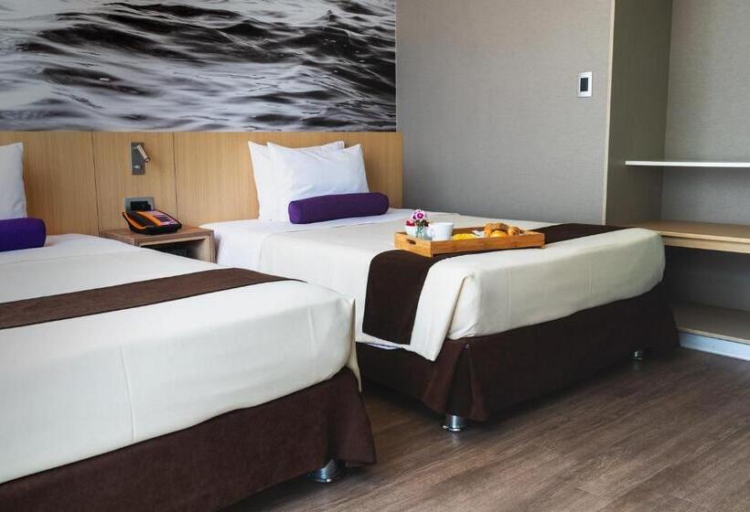 标准间, Palmetto Hotel Business San Borja