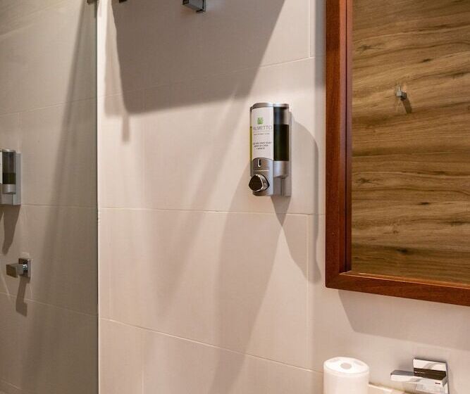 高级大房间, Palmetto Hotel Business San Borja