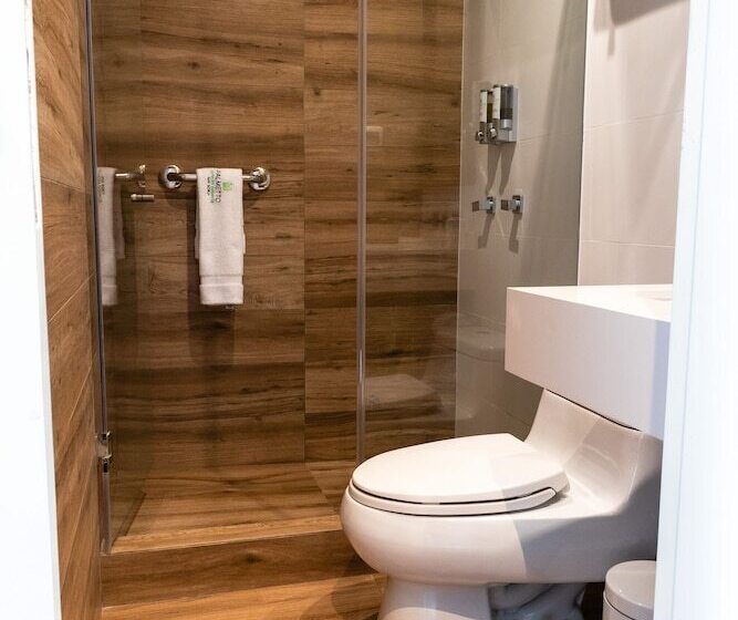 高级大房间, Palmetto Hotel Business San Borja