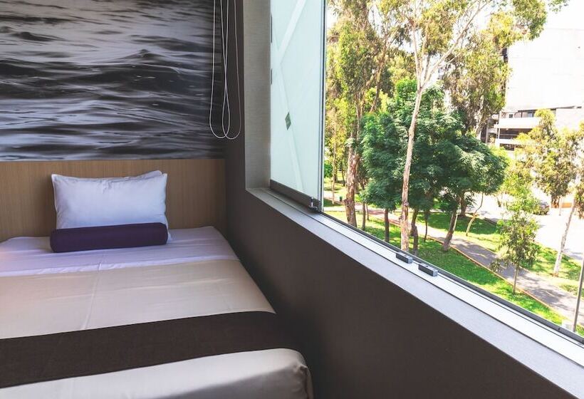 Номер Стандарт Трехместный, Palmetto Hotel Business San Borja