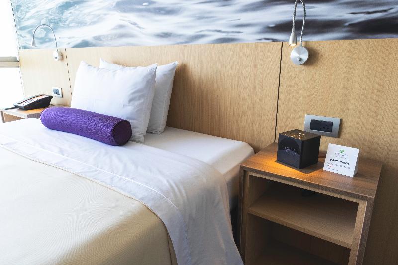 高级大房间, Palmetto Hotel Business San Borja