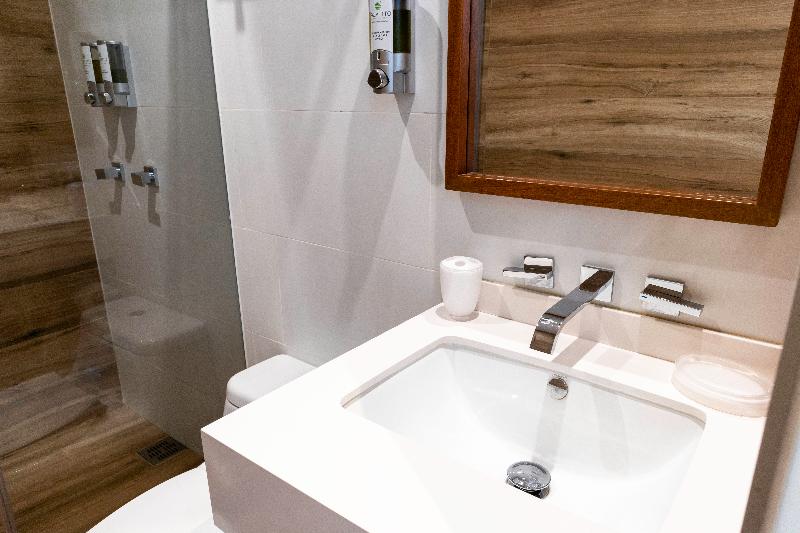 高级大房间, Palmetto Hotel Business San Borja