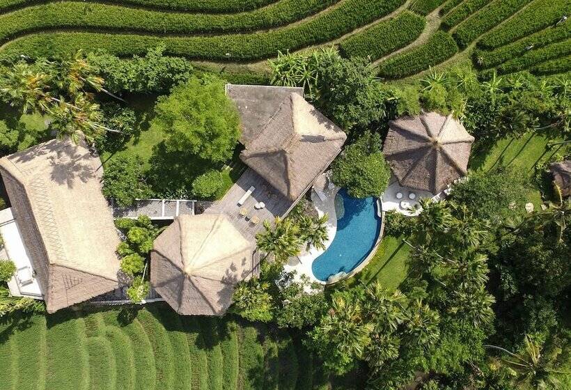 וילה בת 5 חדרים, Planta Boutique Resort