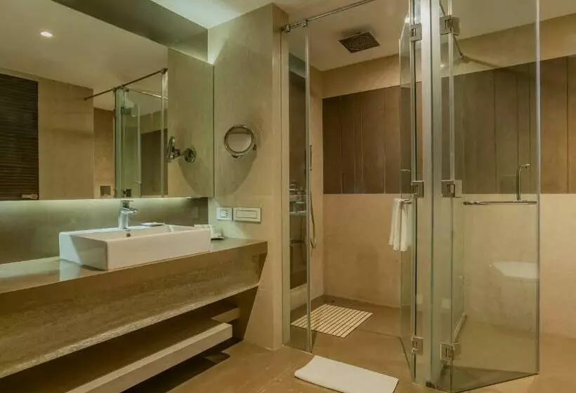 Svit, Radisson Udaipur
