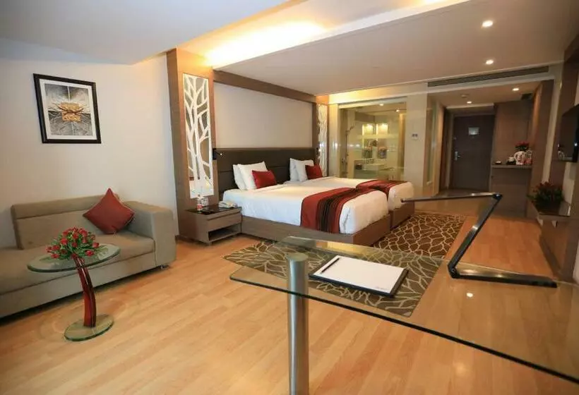 Business rum, Radisson Udaipur