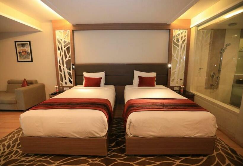 高级大房间, Radisson Udaipur