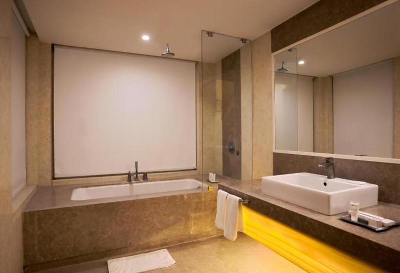 اتاق کلاس بیزنس, Radisson Udaipur