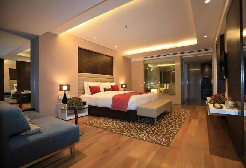 Svit, Radisson Udaipur