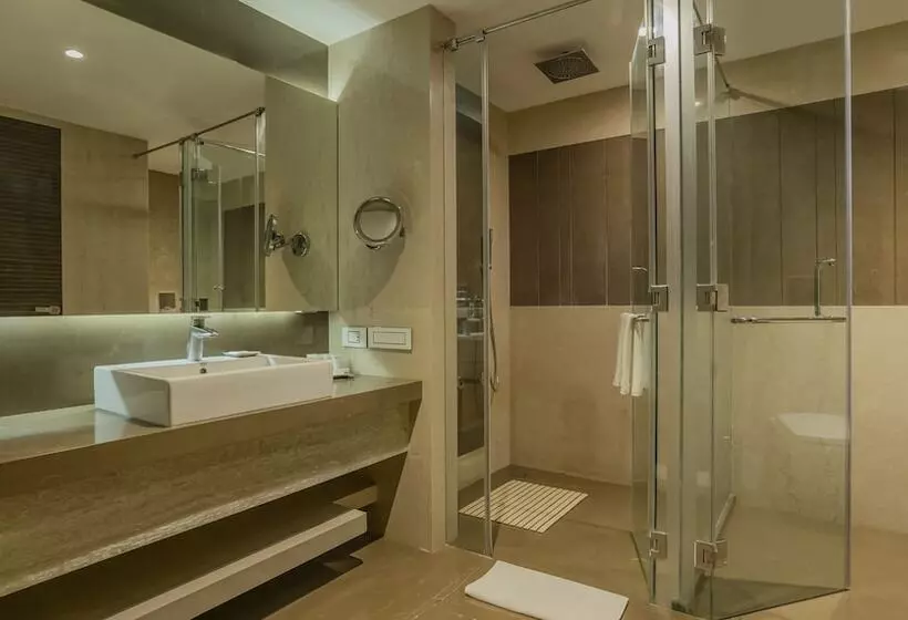 Svit, Radisson Udaipur