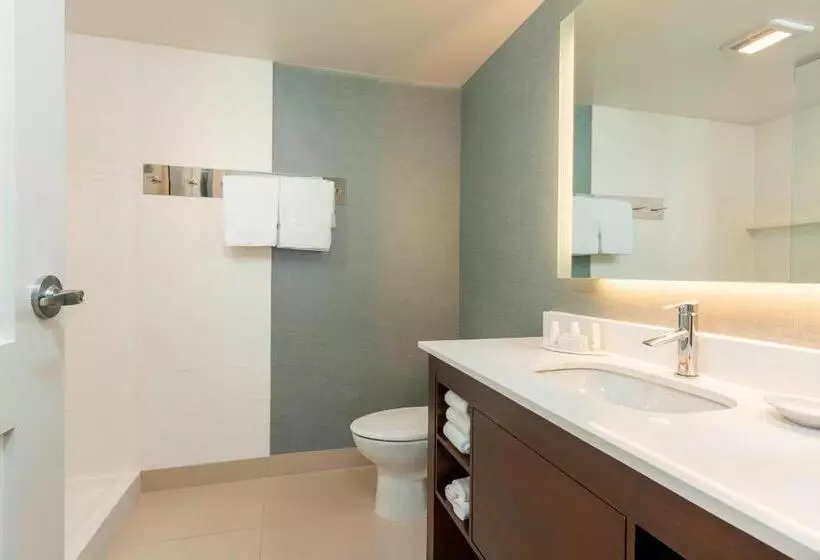 Standard-studio King-vuode, Residence Inn By Marriott Portland Hillsboro/brookwood