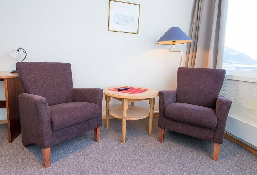 Номер Стандарт, Svartisen