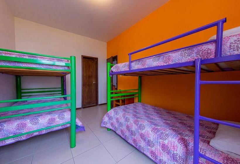 تختخواب در اتاق مشترک, Ayenda Mountain Hostels Manizales