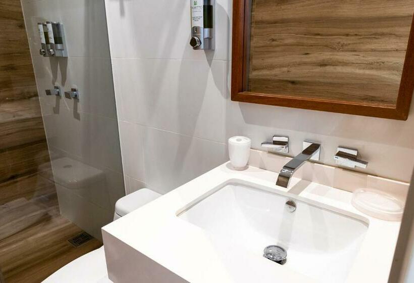 Номер Стандарт, Palmetto Hotel Business San Borja