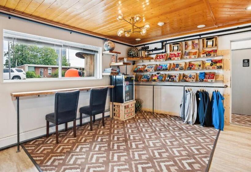 إستوديو قياسى, Highliner Hotel  King Suite 312 With City View Hotel Room